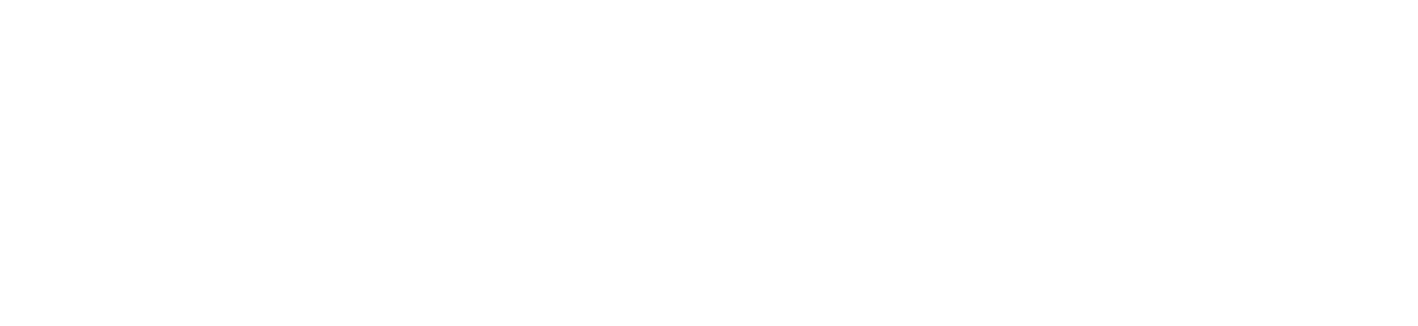 WordPress Partner